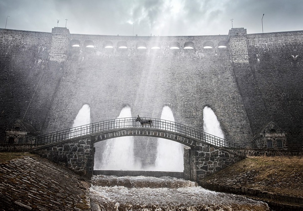 EO イーオー 3枚目の写真・画像