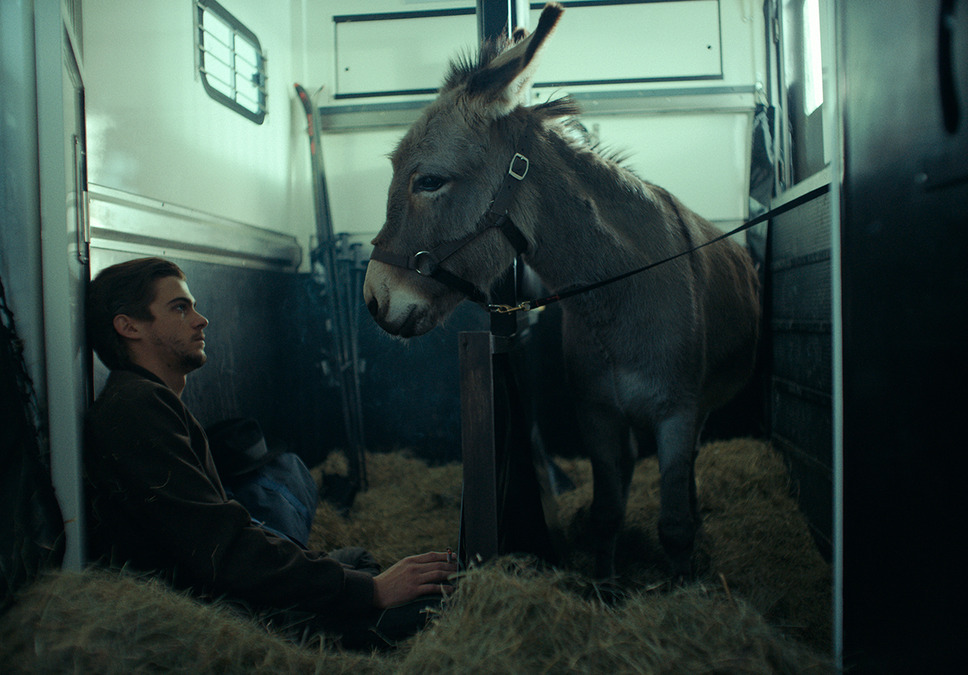 EO イーオー 4枚目の写真・画像