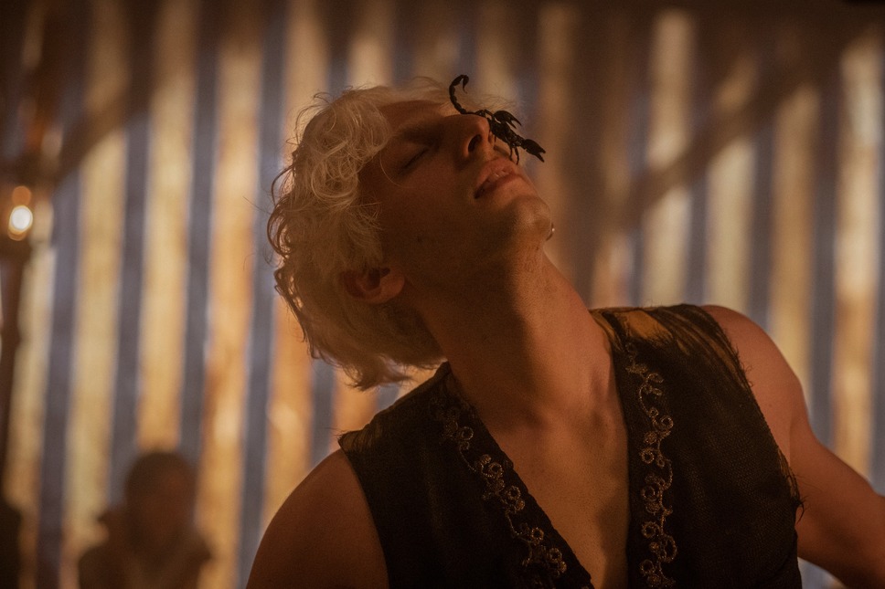 フリークスアウト 8枚目の写真・画像