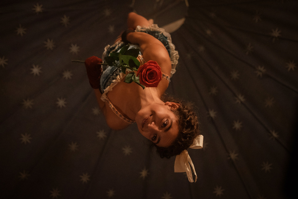 フリークスアウト 13枚目の写真・画像