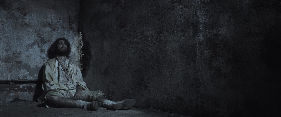 ベネシアフレニア 5枚目の写真・画像