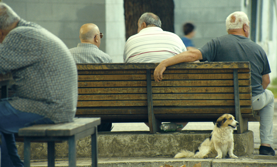 ジョージア、白い橋のカフェで逢いましょう 17枚目の写真・画像