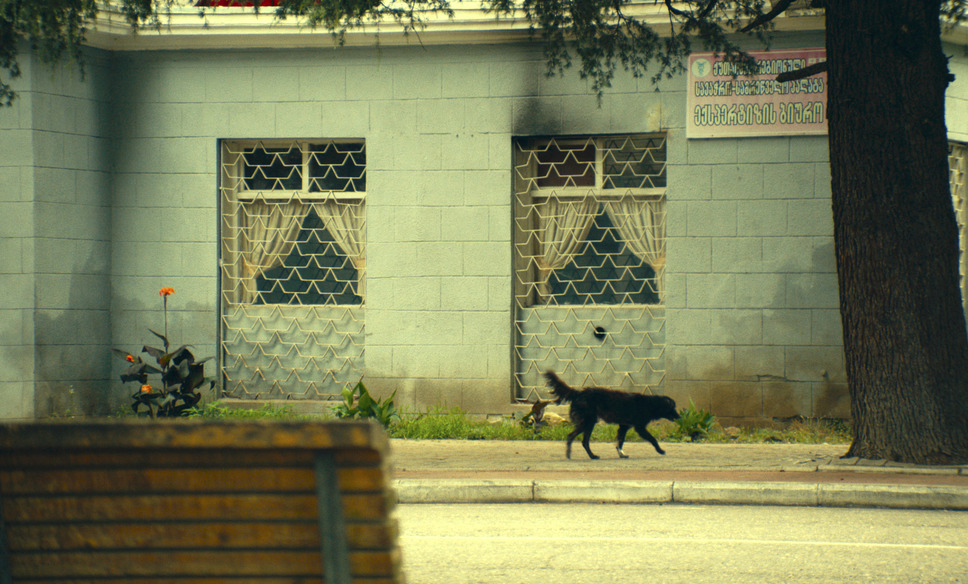 ジョージア、白い橋のカフェで逢いましょう 24枚目の写真・画像