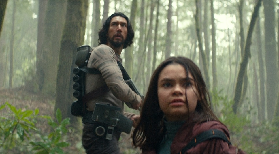 65／シックスティ・ファイブ 6枚目の写真・画像