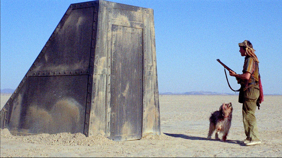 少年と犬 6枚目の写真・画像