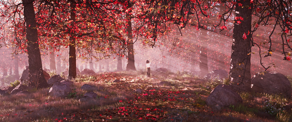 雄獅少年／ライオン少年 11枚目の写真・画像