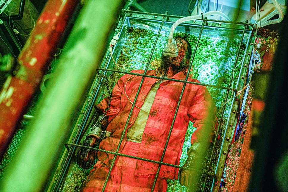 オオカミ狩り 31枚目の写真・画像