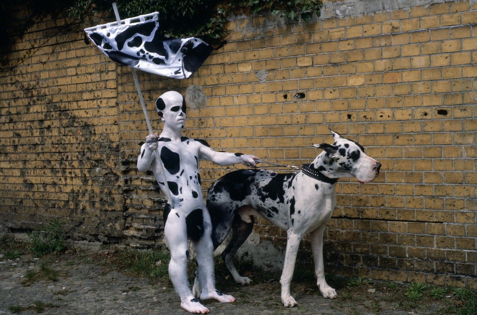 フリーク・オルランド 4枚目の写真・画像