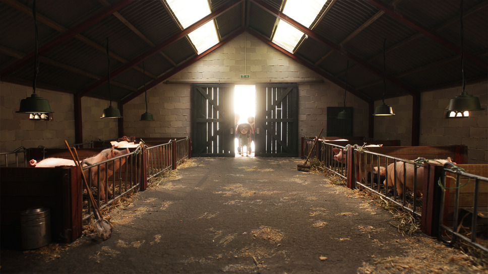 愛しのクノール 9枚目の写真・画像