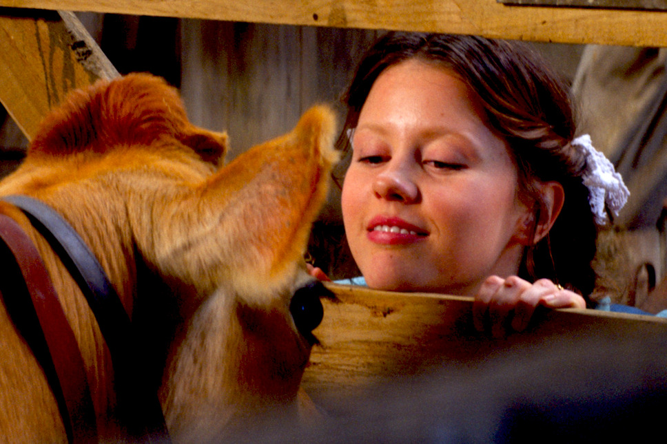 Pearl パール 9枚目の写真・画像