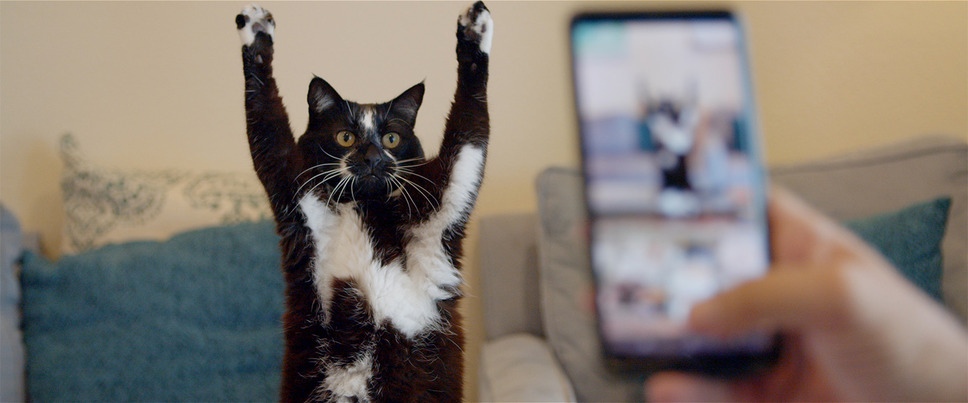 猫と、とうさん 2枚目の写真・画像