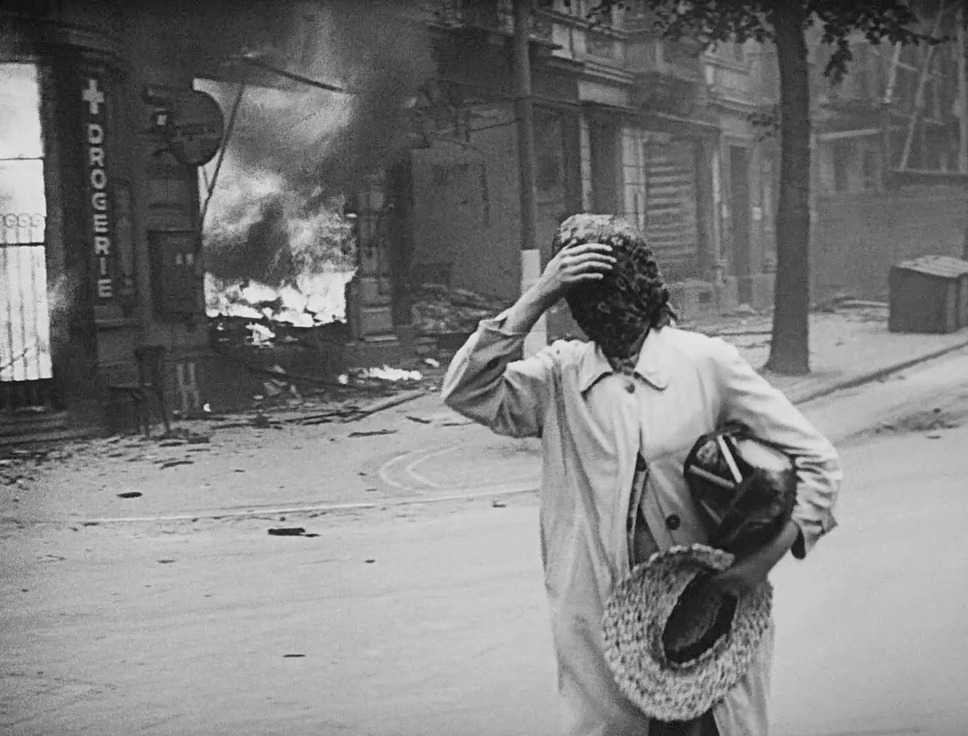 破壊の自然史 2枚目の写真・画像