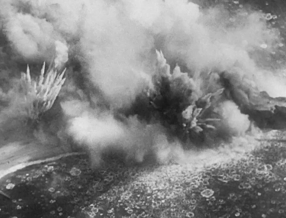 破壊の自然史 6枚目の写真・画像