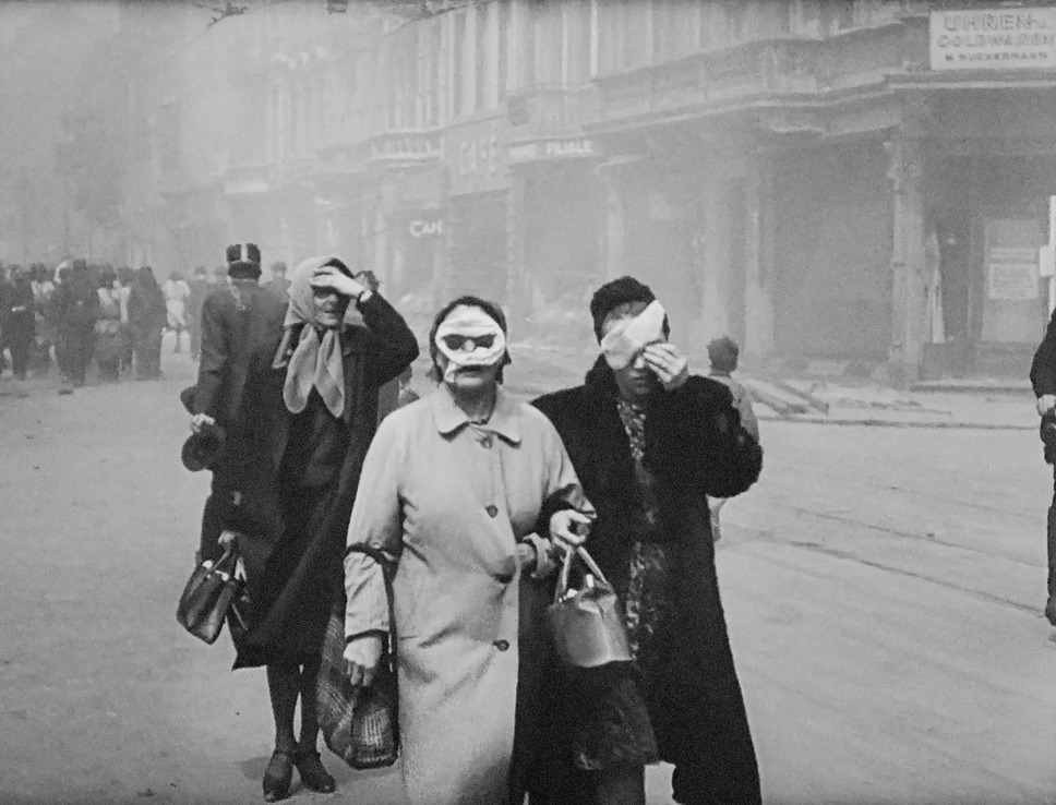 破壊の自然史 8枚目の写真・画像