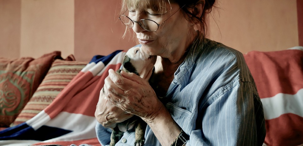 ジェーンとシャルロット 19枚目の写真・画像