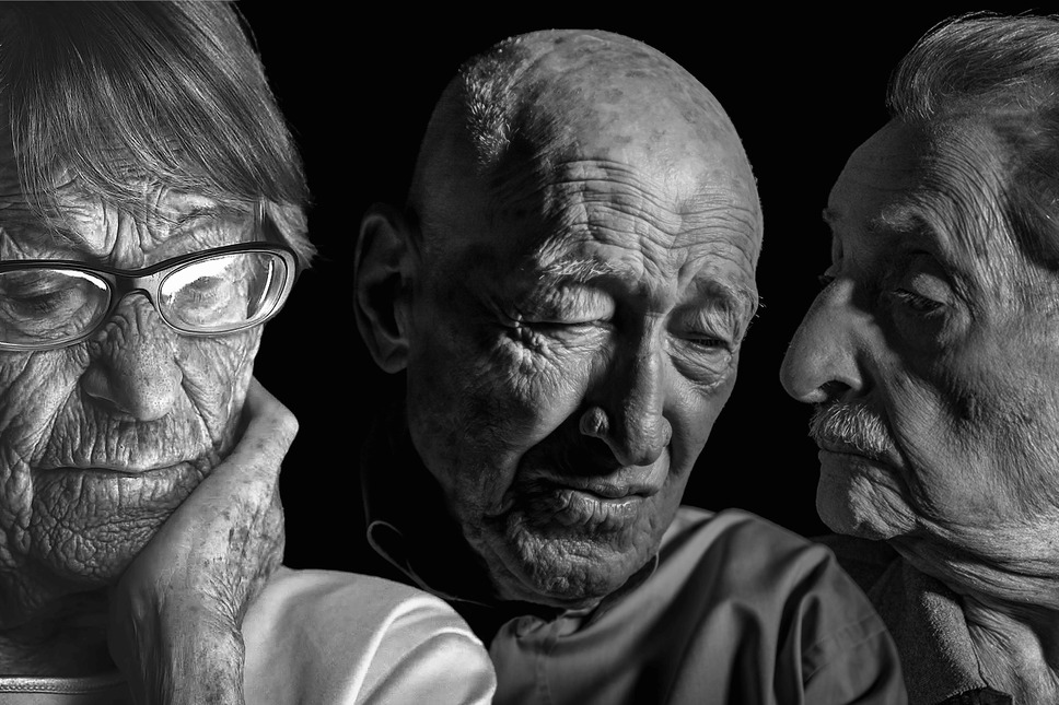 メンゲレと私 4枚目の写真・画像