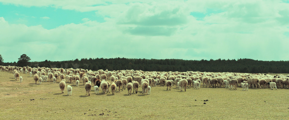 草原に抱かれて 6枚目の写真・画像