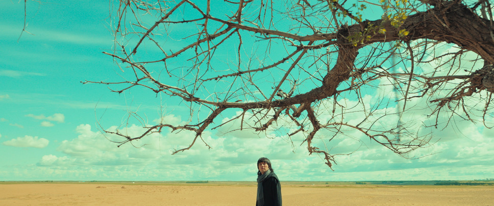 草原に抱かれて 9枚目の写真・画像