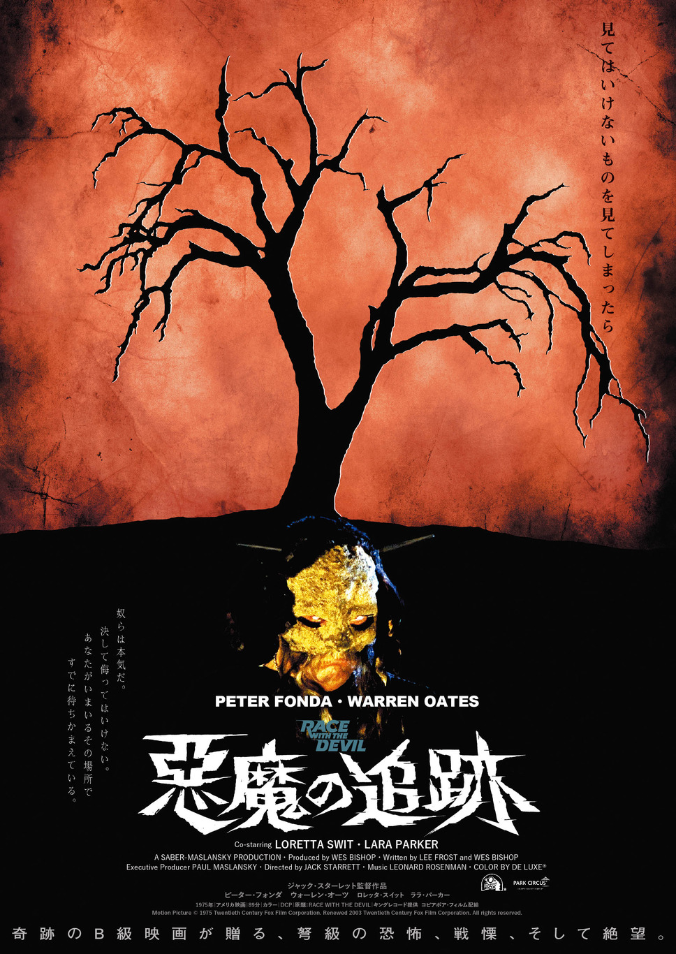 悪魔の追跡 1枚目の写真・画像