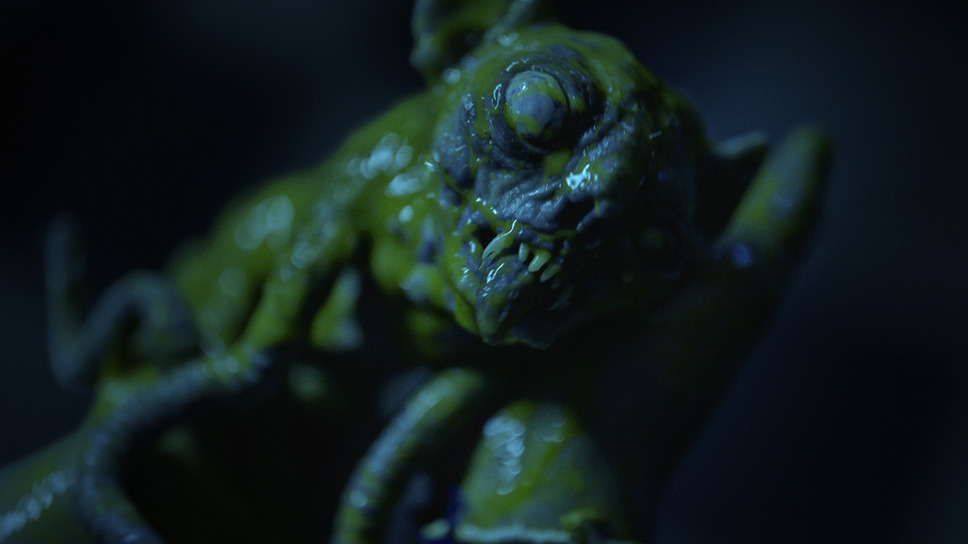 イビルアイ 16枚目の写真・画像