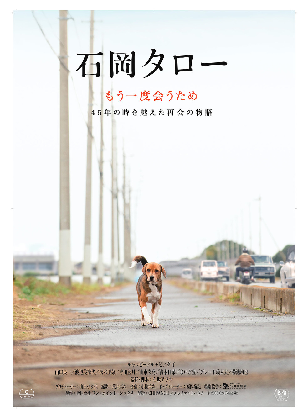 石岡タロー 1枚目の写真・画像