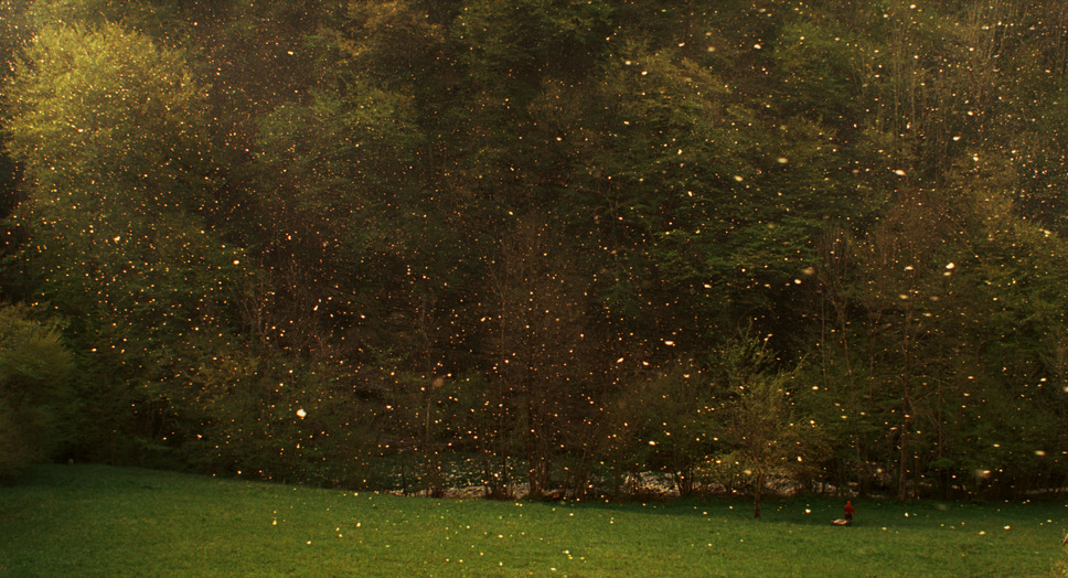 栗の森のものがたり 5枚目の写真・画像