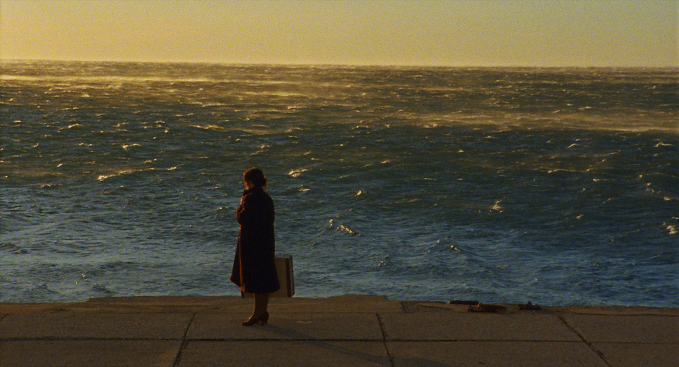 栗の森のものがたり 8枚目の写真・画像