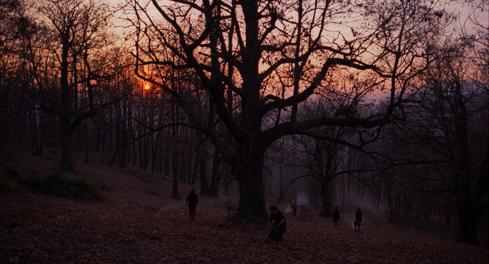 栗の森のものがたり 11枚目の写真・画像