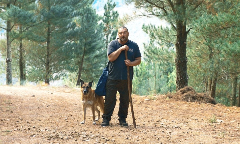 理想郷 3枚目の写真・画像