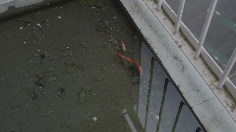 曖昧な楽園 8枚目の写真・画像