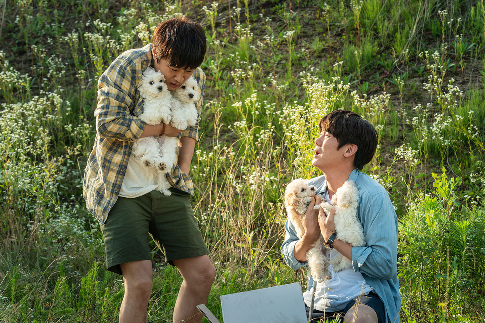 マイ・ハート・パピー 8枚目の写真・画像