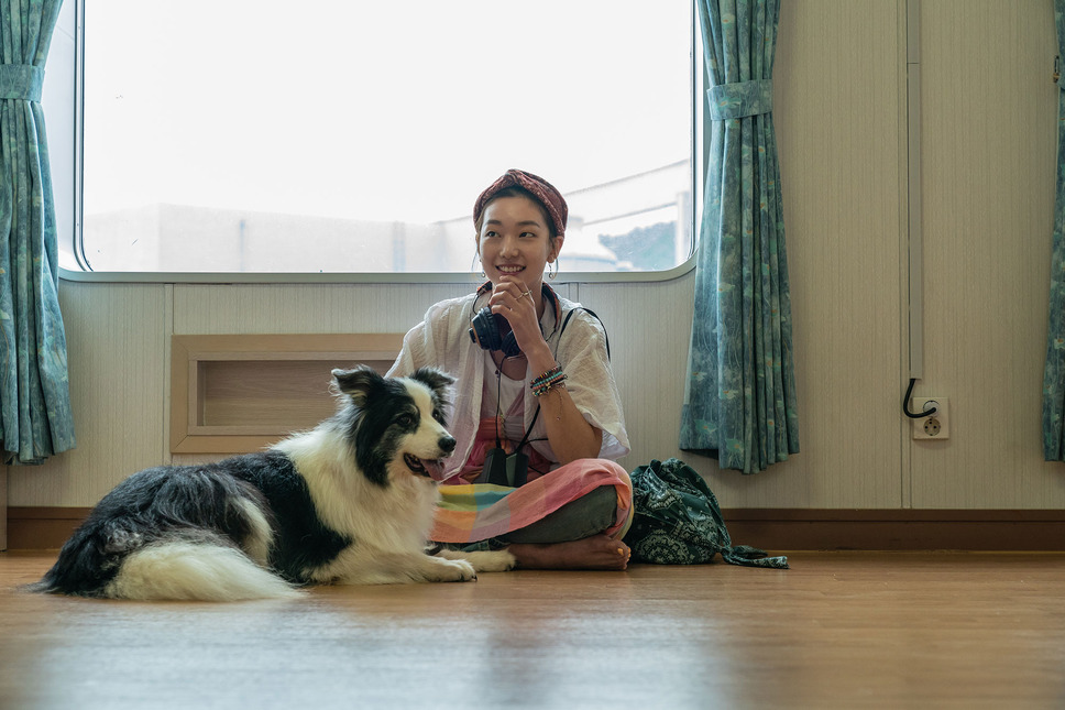 マイ・ハート・パピー 12枚目の写真・画像