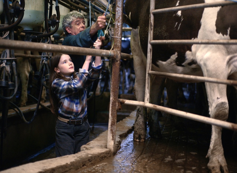 コット、はじまりの夏 6枚目の写真・画像