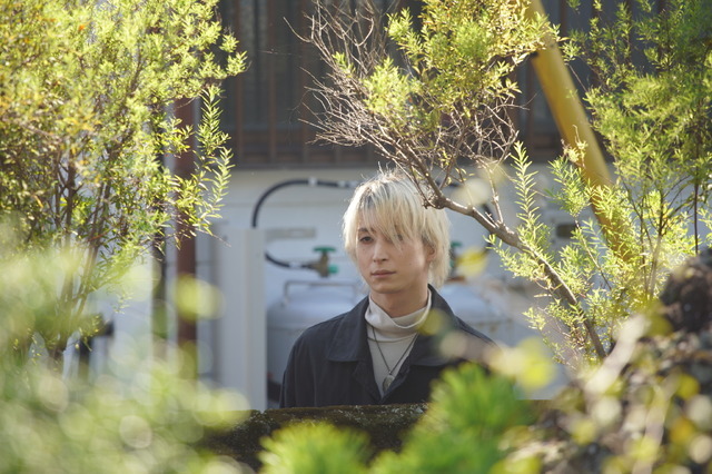 マッチング 8枚目の写真・画像