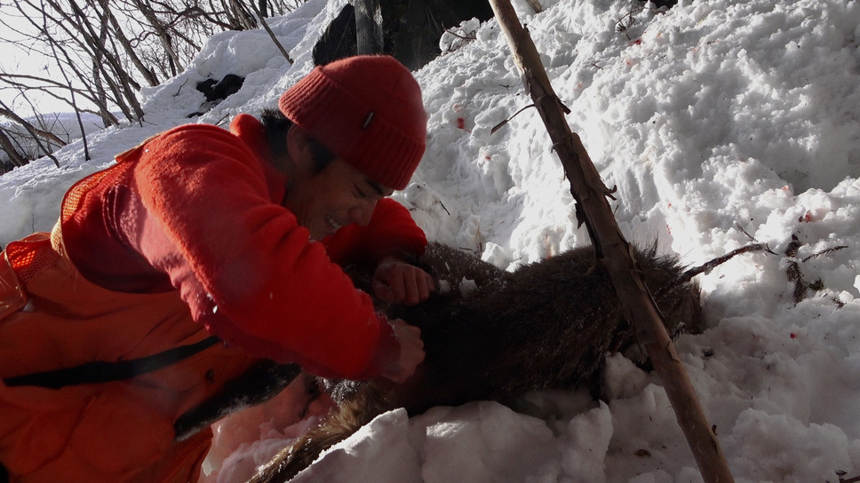 WILL 3枚目の写真・画像