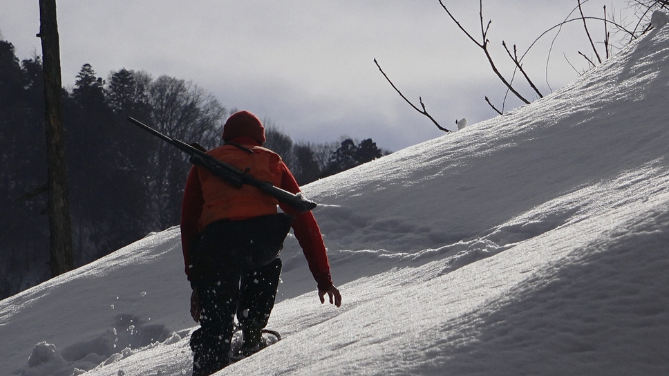 WILL 4枚目の写真・画像