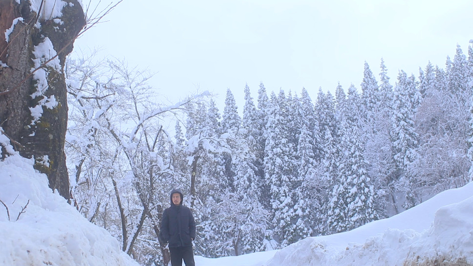 物体 -妻が哲学ゾンビになった- 8枚目の写真・画像