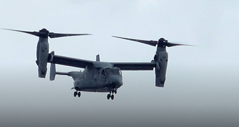 沖縄狂想曲 2枚目の写真・画像