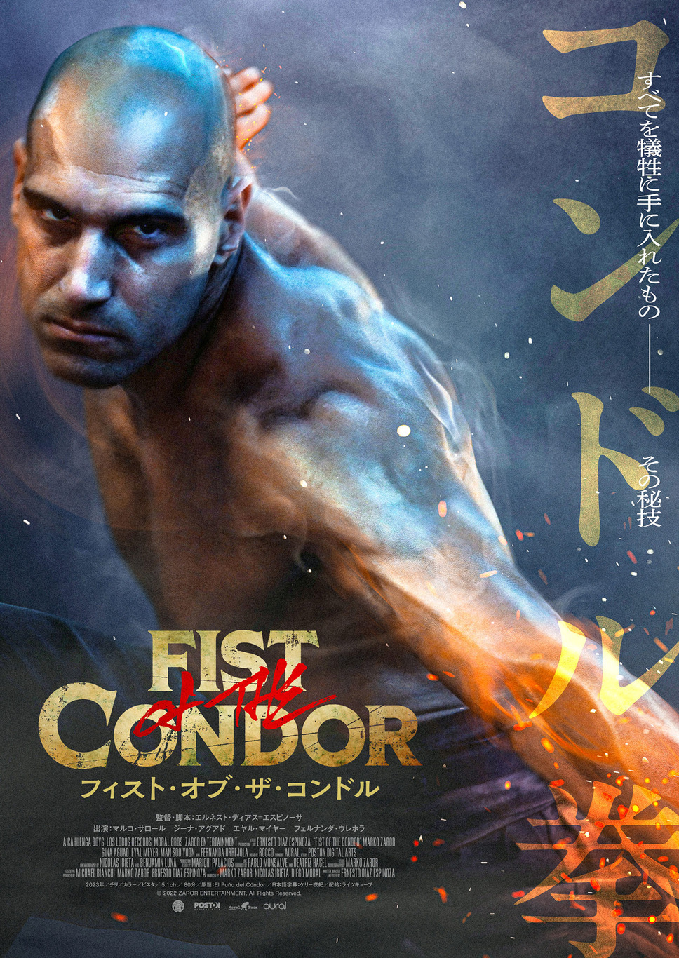 フィスト・オブ・ザ・コンドル 1枚目の写真・画像