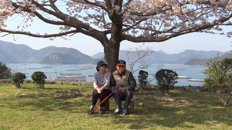 かづゑ的 2枚目の写真・画像