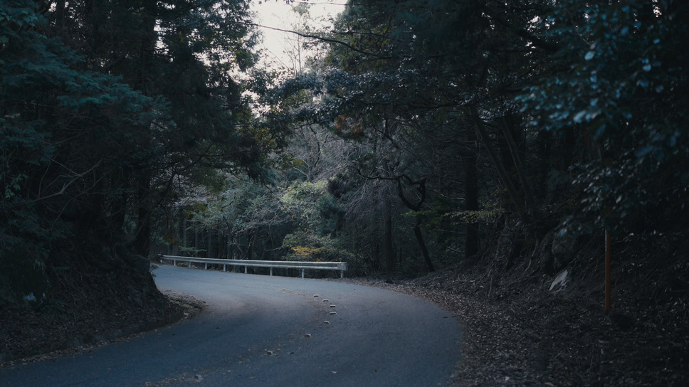 正義の行方 2枚目の写真・画像