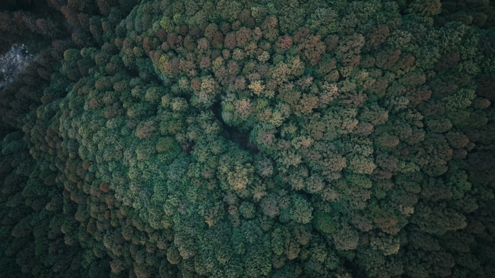 正義の行方 11枚目の写真・画像