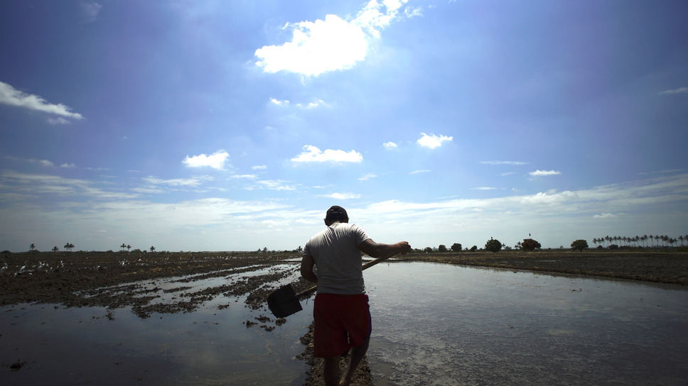 革命する大地 3枚目の写真・画像
