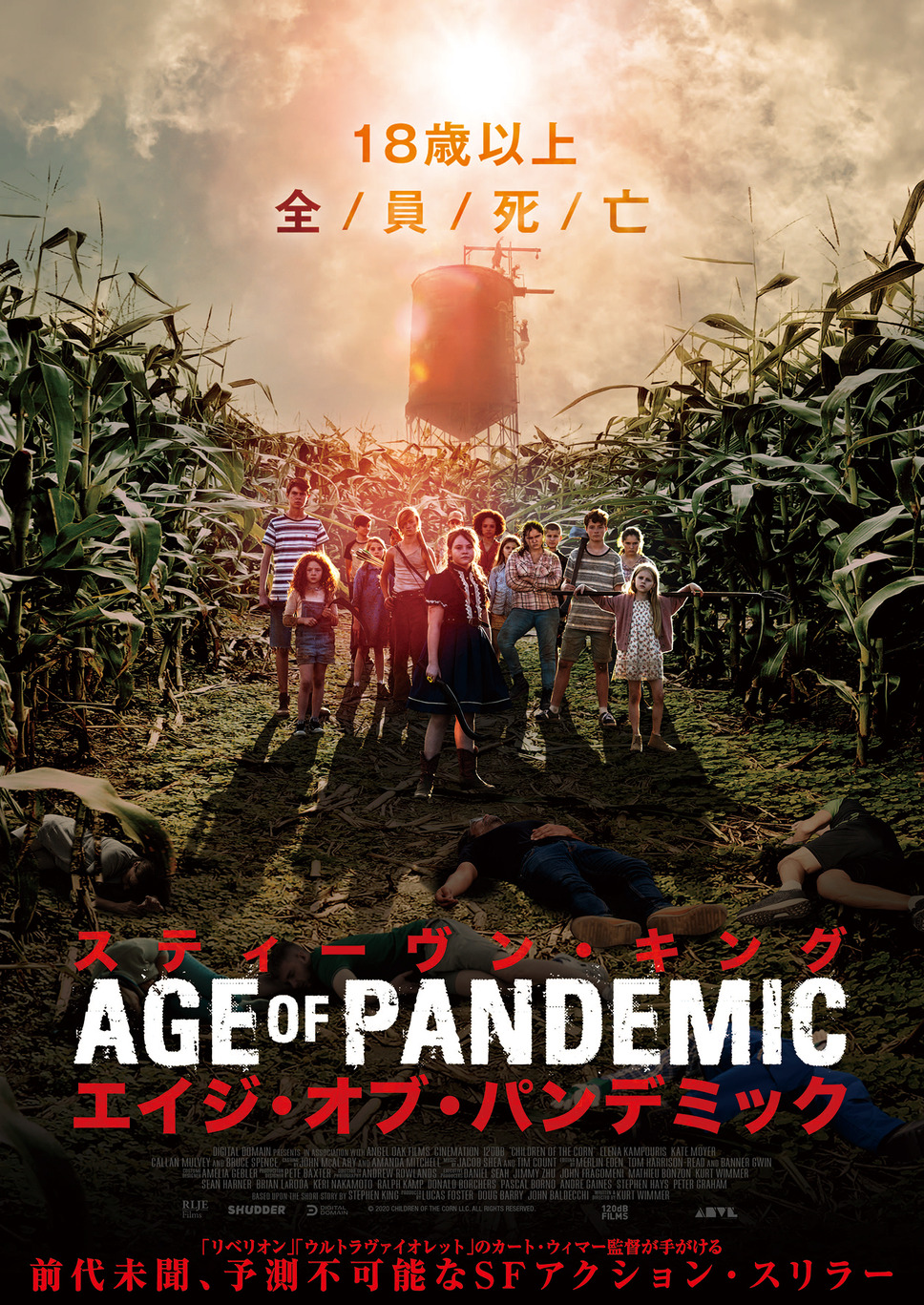 スティーヴン・キング エイジ・オブ・パンデミック 1枚目の写真・画像