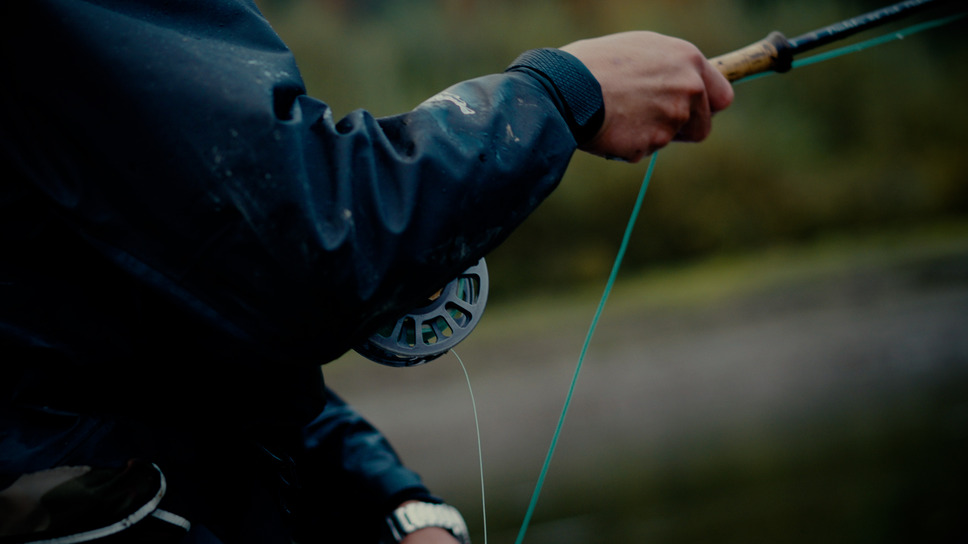 ミルクの中のイワナ 4枚目の写真・画像