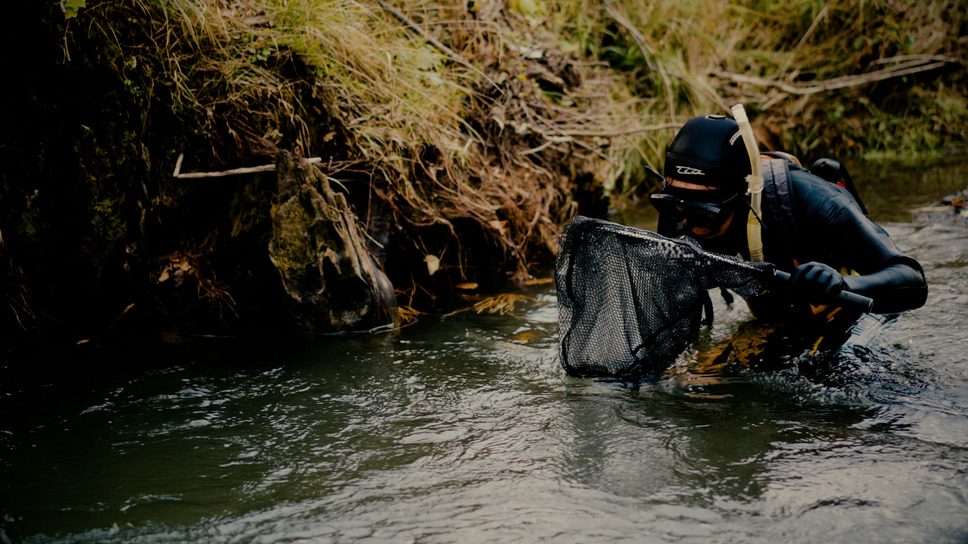 ミルクの中のイワナ 6枚目の写真・画像