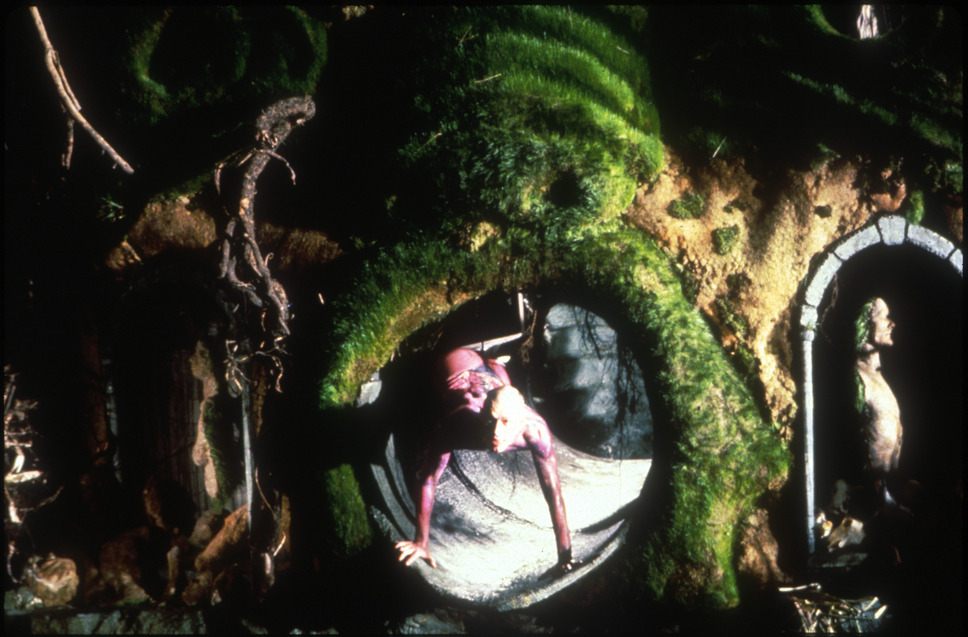 プロスペローの本 4枚目の写真・画像