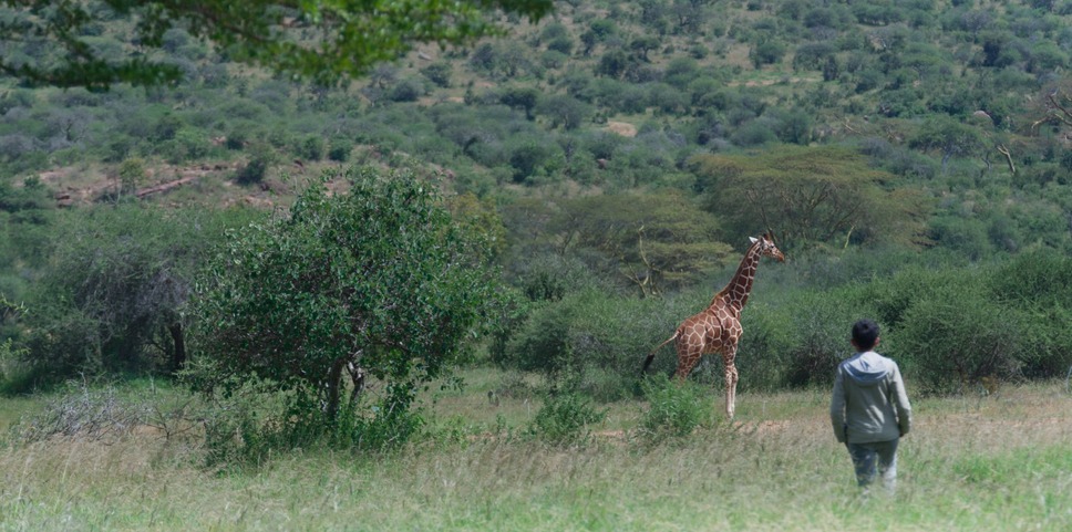 アニマル ぼくたちと動物のこと 5枚目の写真・画像