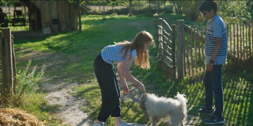 アニマル ぼくたちと動物のこと 9枚目の写真・画像