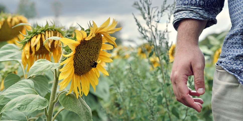 アニマル ぼくたちと動物のこと 12枚目の写真・画像
